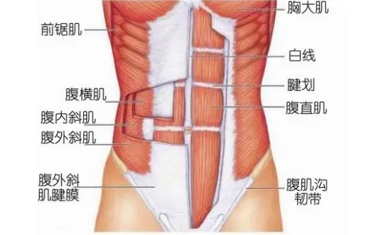 世界，您好！
