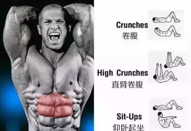 腹肌的不同位置该如何虐？6张图解告诉你