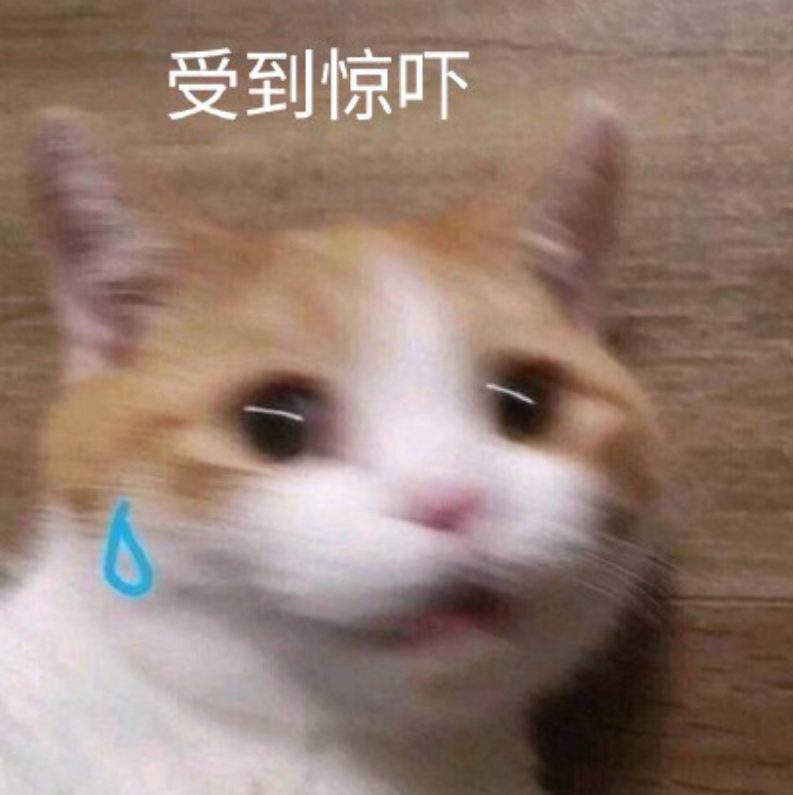 瓦特??焦迈奇胖成球,“这是要变熊圈天菜了?”