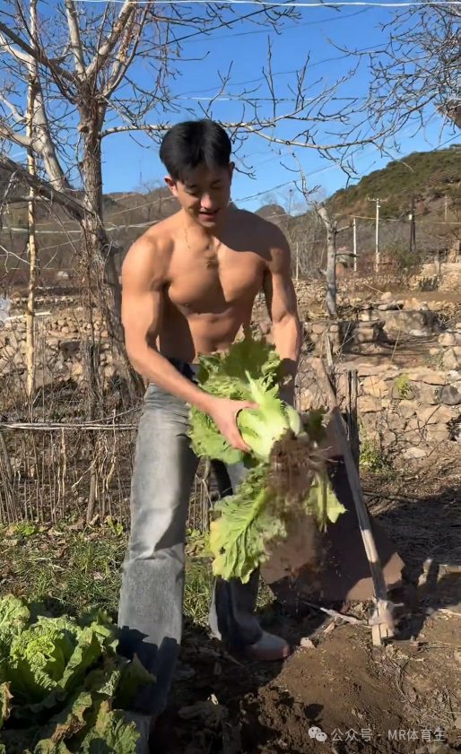 188cm成都健身男模,硬核腱子肉完美诠释的肌肉小狼狗